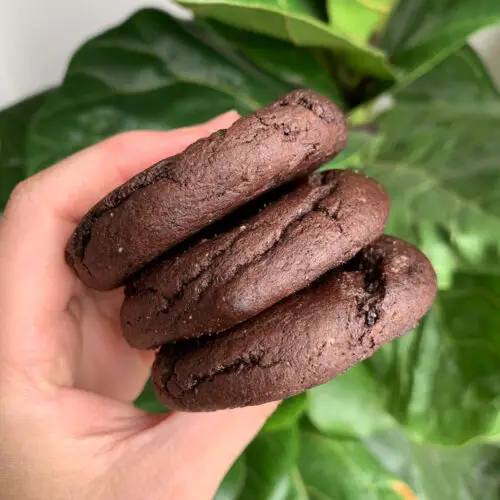 Keto-chocolate-crackles