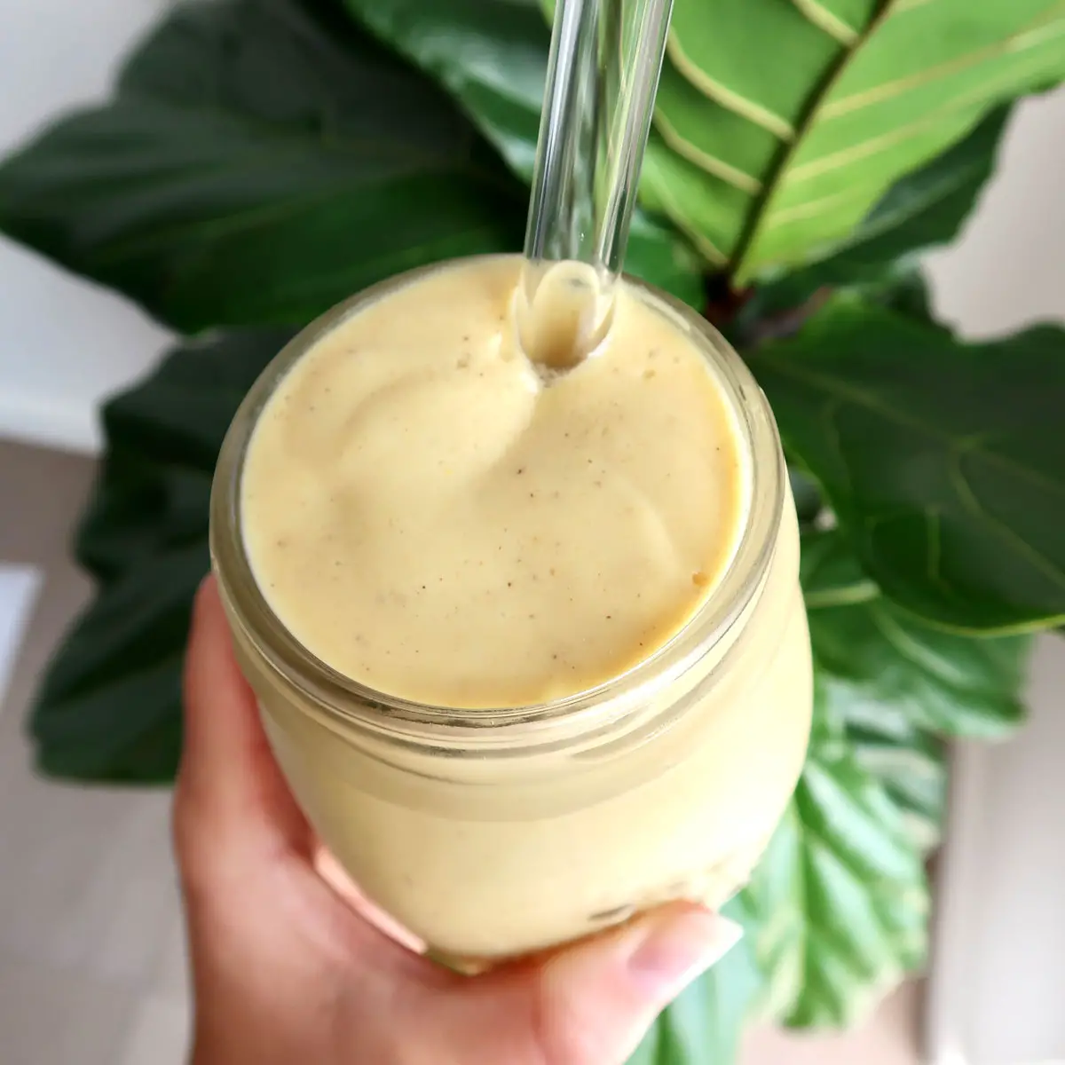 Mango Pineapple Smoothie